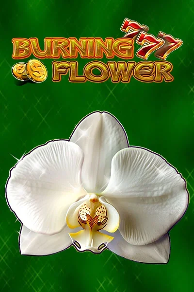 Burning Flower — Slot | Wyns Casino AT